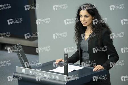 163. Sitzung des Deutschen Bundestages in Berlin