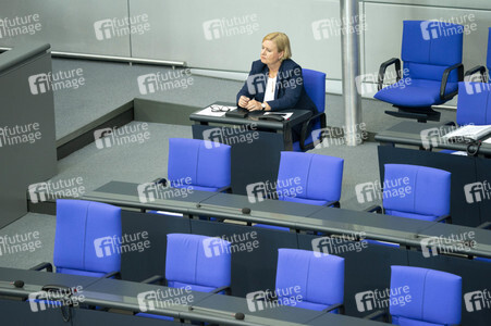 163. Sitzung des Deutschen Bundestages in Berlin