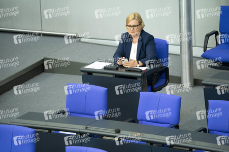 163. Sitzung des Deutschen Bundestages in Berlin