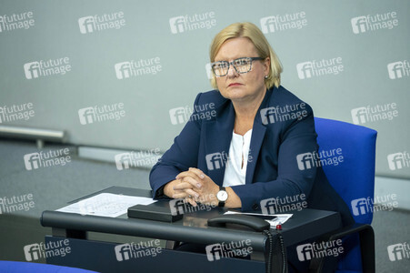 163. Sitzung des Deutschen Bundestages in Berlin