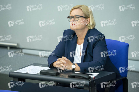 163. Sitzung des Deutschen Bundestages in Berlin