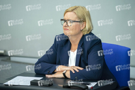 163. Sitzung des Deutschen Bundestages in Berlin