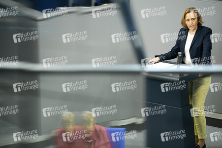 163. Sitzung des Deutschen Bundestages in Berlin