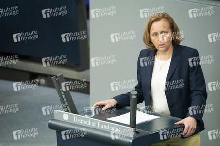 163. Sitzung des Deutschen Bundestages in Berlin