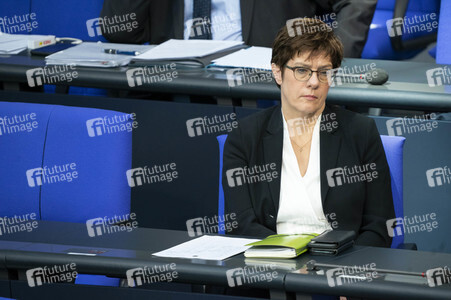 163. Sitzung des Deutschen Bundestages in Berlin