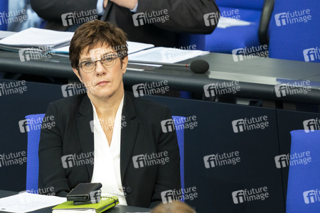 163. Sitzung des Deutschen Bundestages in Berlin