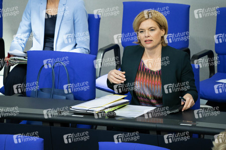 163. Sitzung des Deutschen Bundestages in Berlin