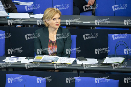 163. Sitzung des Deutschen Bundestages in Berlin