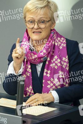 163. Sitzung des Deutschen Bundestages in Berlin