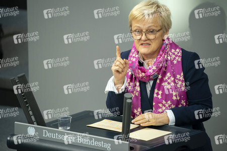 163. Sitzung des Deutschen Bundestages in Berlin