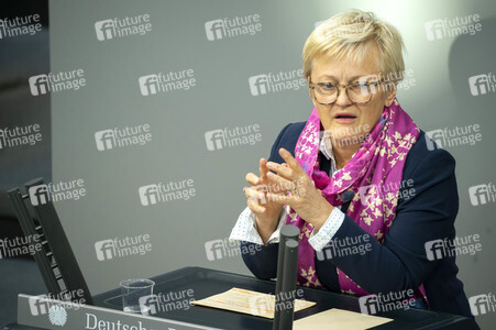 163. Sitzung des Deutschen Bundestages in Berlin