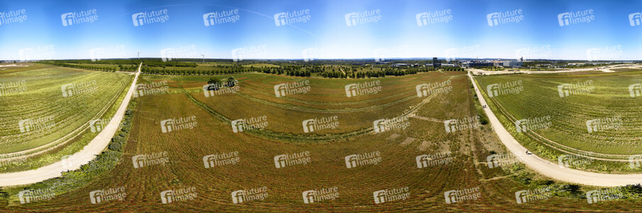 Mohnfeld am Kronsberg in Hannover