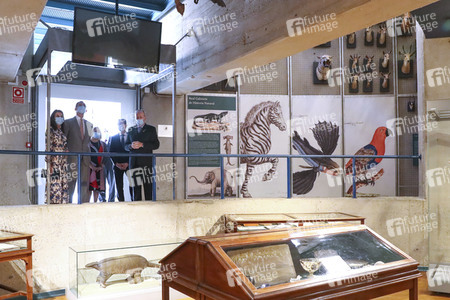 Royals besuchen das Naturwissenschaftliche Museum in Madrid