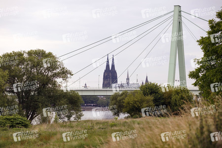 Die Severinsbrücke in Köln