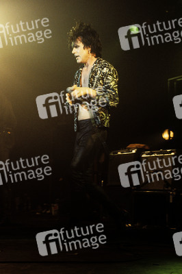 Konzert von The Cramps in London