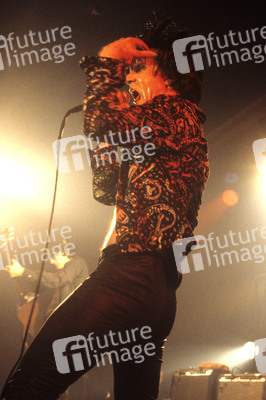 Konzert von The Cramps in London