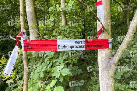 Ausbreitung der Eichenprozessionsspinner um Köln