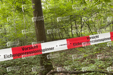 Ausbreitung der Eichenprozessionsspinner um Köln