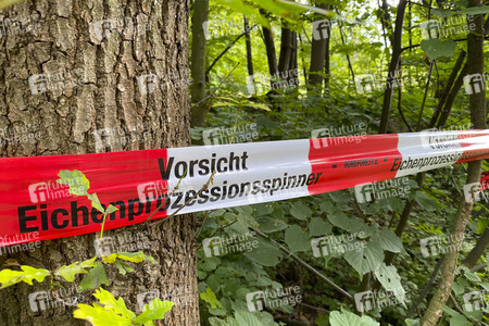 Ausbreitung der Eichenprozessionsspinner um Köln