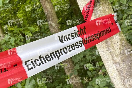 Ausbreitung der Eichenprozessionsspinner um Köln