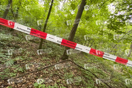 Ausbreitung der Eichenprozessionsspinner um Köln