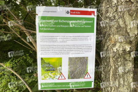 Ausbreitung der Eichenprozessionsspinner um Köln