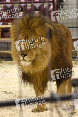 Pre-Presse-Empfang vom Circus Krone in München