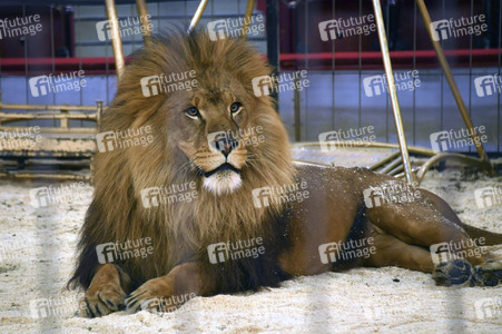 Pre-Presse-Empfang vom Circus Krone in München