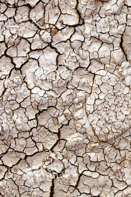 Symbolfoto Dürre