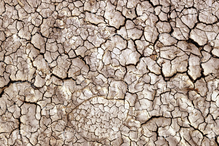 Symbolfoto Dürre