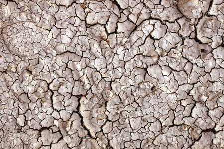 Symbolfoto Dürre