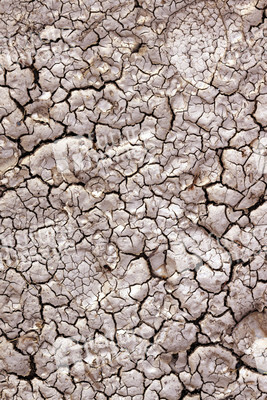 Symbolfoto Dürre