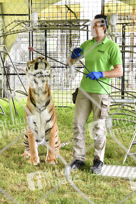 Presserundgang auf der Circus Krone-Farm. Weßling