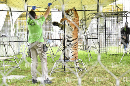 Presserundgang auf der Circus Krone-Farm. Weßling