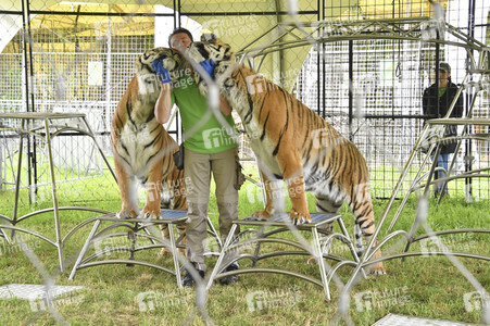 Presserundgang auf der Circus Krone-Farm. Weßling