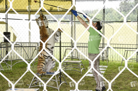 Presserundgang auf der Circus Krone-Farm in Weßling