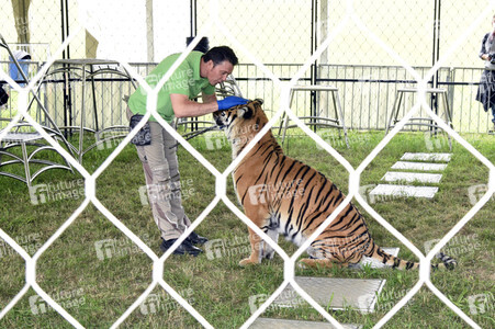 Presserundgang auf der Circus Krone-Farm in Weßling