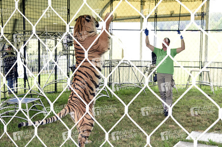 Presserundgang auf der Circus Krone-Farm in Weßling