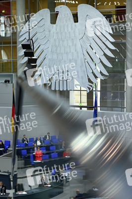 169. Sitzung des Deutschen Bundestages in Berlin