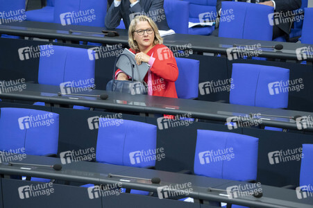 171. Sitzung des Deutschen Bundestages in Berlin