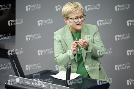 171. Sitzung des Deutschen Bundestages in Berlin