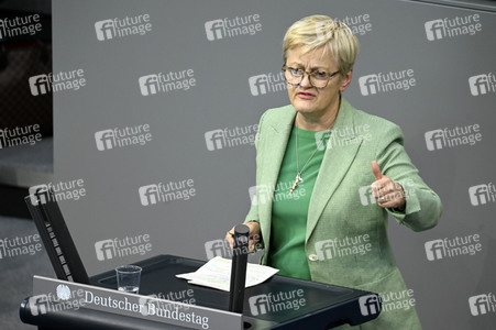 171. Sitzung des Deutschen Bundestages in Berlin