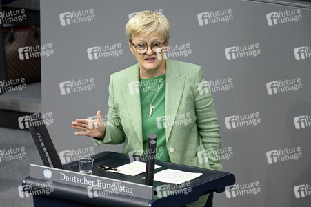 171. Sitzung des Deutschen Bundestages in Berlin