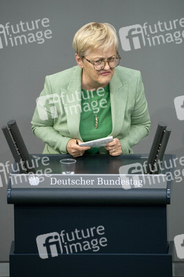 171. Sitzung des Deutschen Bundestages in Berlin