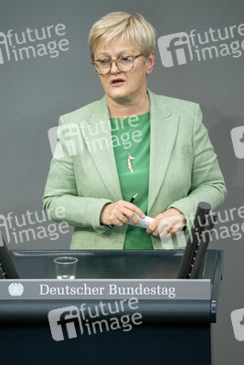 171. Sitzung des Deutschen Bundestages in Berlin