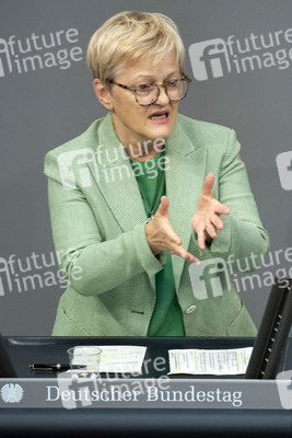 171. Sitzung des Deutschen Bundestages in Berlin