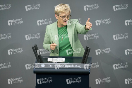 171. Sitzung des Deutschen Bundestages in Berlin