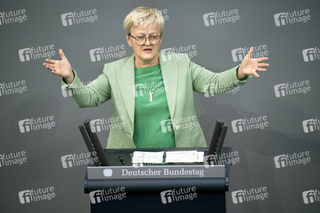 171. Sitzung des Deutschen Bundestages in Berlin