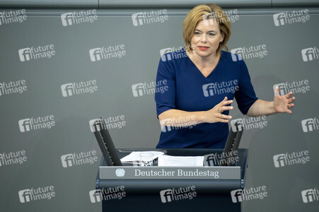 171. Sitzung des Deutschen Bundestages in Berlin