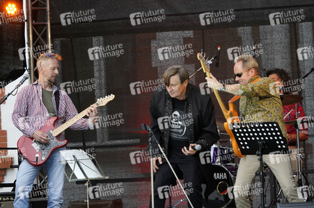 Picknickkonzert mit Ulli und die grauen Zellen in Werder